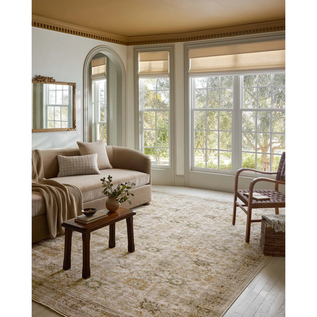 Pace Natural / Multi Area Rug